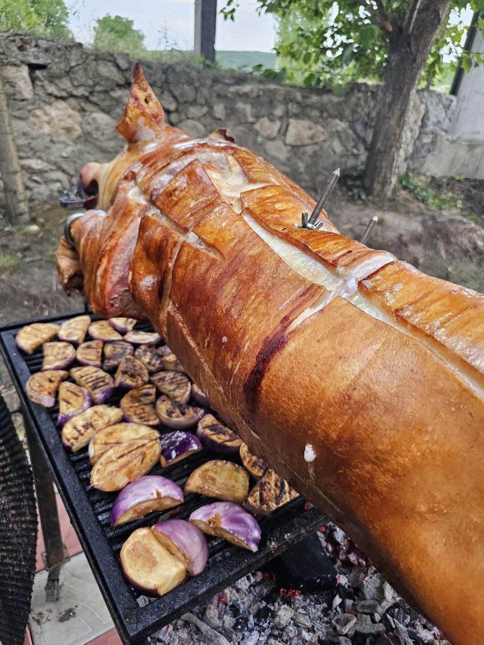 Porc pe rotișor